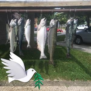 Meet your Posher, Dylan